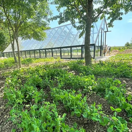 Istvan Parkhotel Es Gasztrofarm Sormás