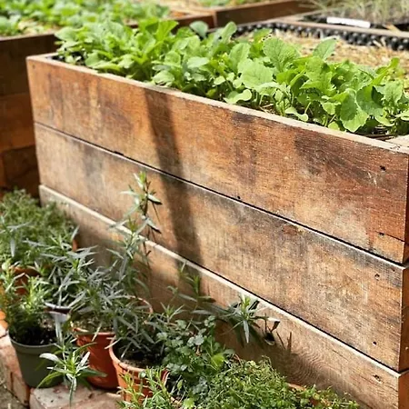 Istvan Parkhotel Es Gasztrofarm Hotel 3*