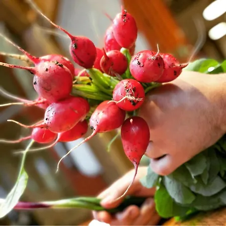 Istvan Parkhotel Es Gasztrofarm Hotel 3*