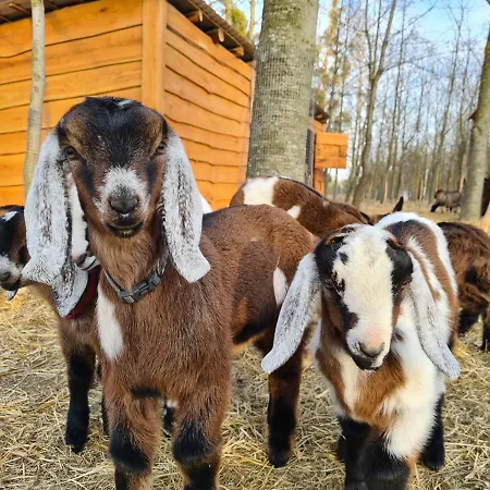 Hotel Istvan Parkhotel Es Gasztrofarm