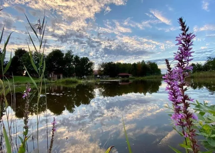 Hotel Istvan Parkhotel Es Gasztrofarm