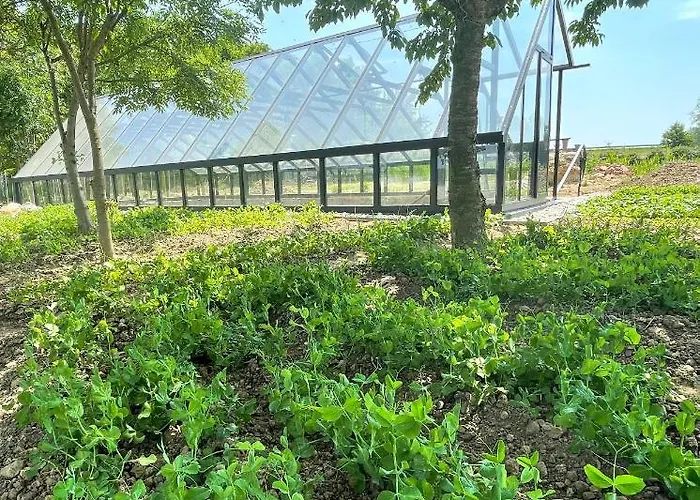 István Parkhotel és Gasztrofarm Sormás